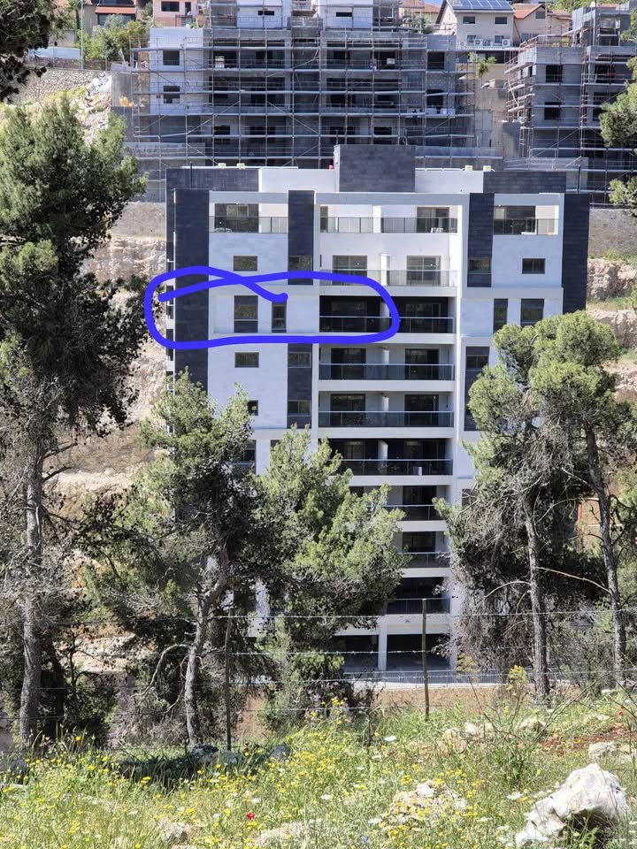 תמונה 6