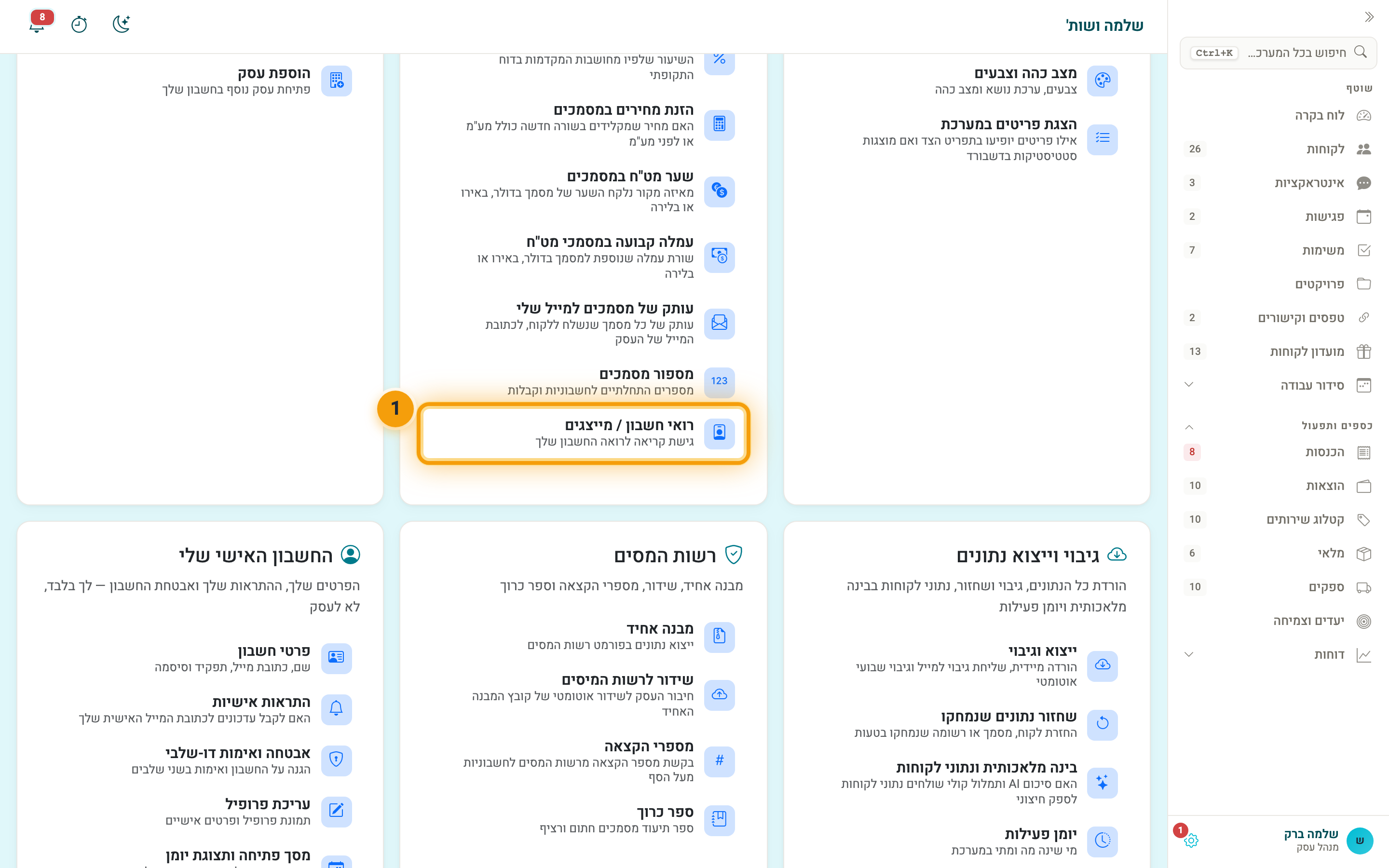 הקישור ״רואי חשבון / מייצגים״ במסך ההגדרות