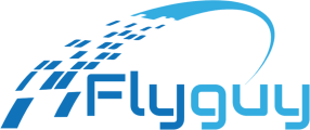 Fly Guy